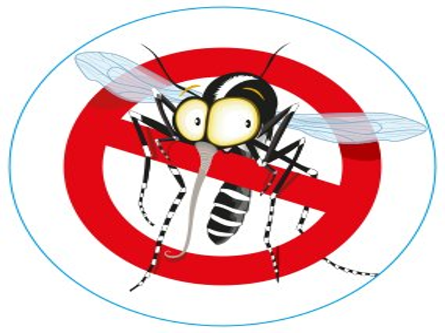 Prevenzione e controllo delle arbovirosi: le indicazioni della Regione Toscana Prevenzione e controllo delle arbovirosi: le indicazioni della Regione Toscana