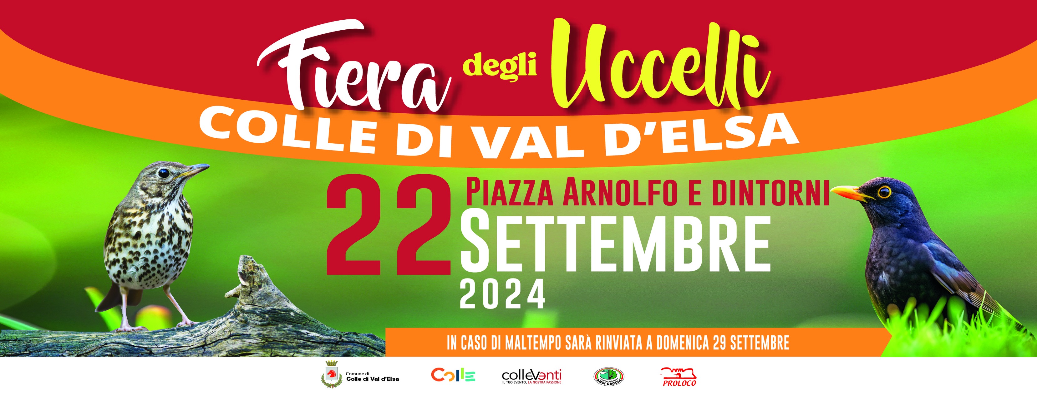 FIERA DEGLI UCCELLI - La Fiera storica di Colle di Val d'Elsa - 22 settembre 2024